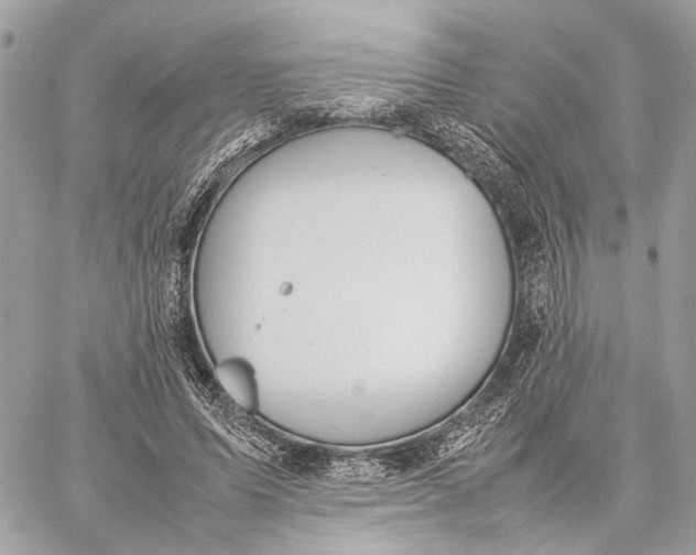 X0000059250591200511041336