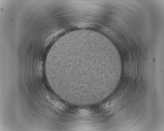 X0000059250592200511041336