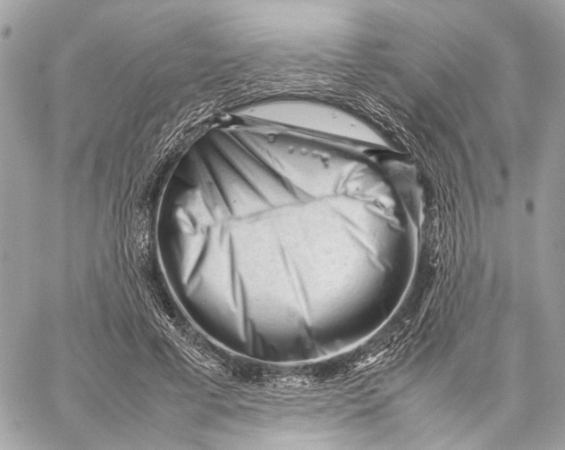 X0000059250593200511041336