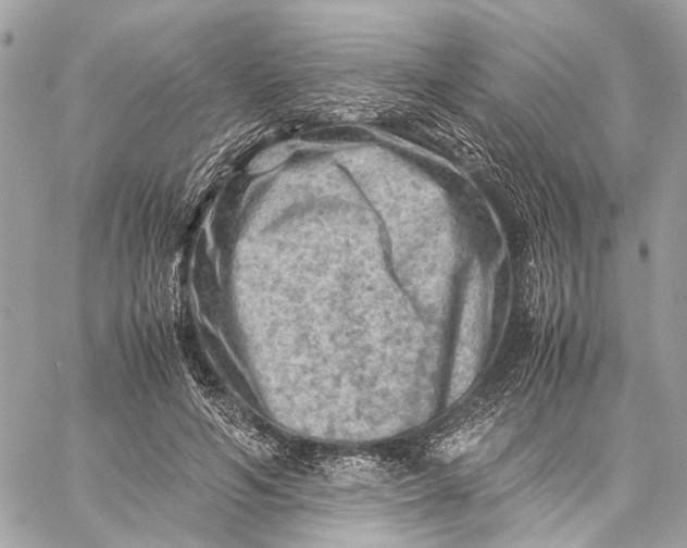 X0000059250594200511041336