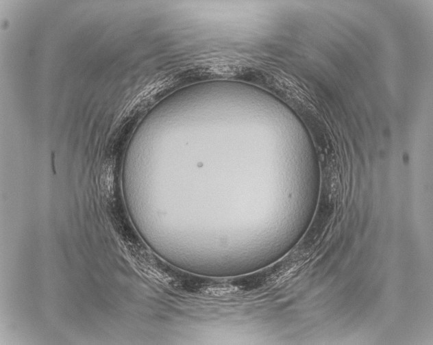 X0000059250595200511041336