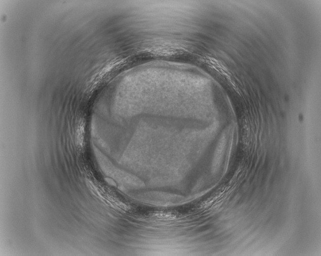 X0000059250596200511041336