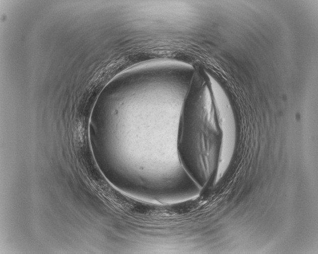 X0000059250597200511041336