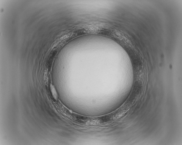 X0000059250599200511041336