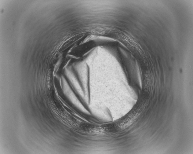 X0000059250600200511041336