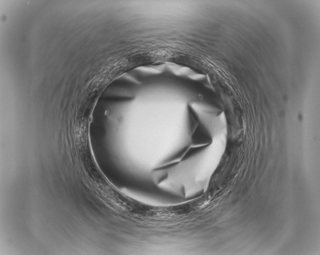 X0000059250601200511041336