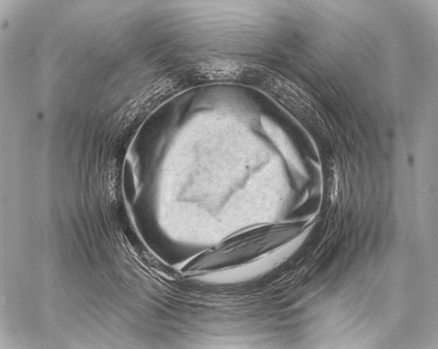 X0000059250604200511041336