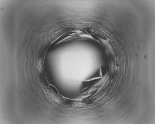 X0000059250605200511041336