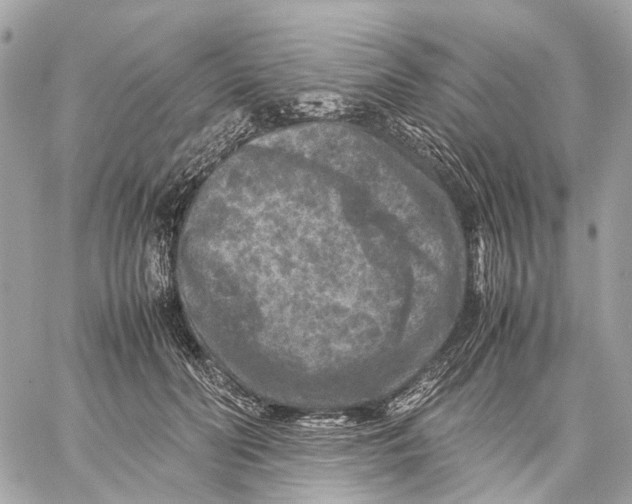 X0000059250606200511041336