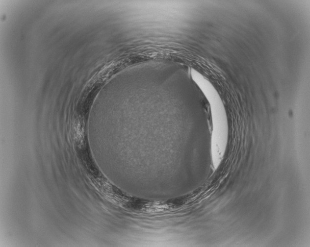 X0000059250607200511041336