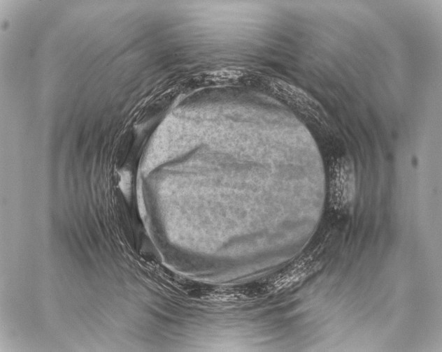 X0000059250608200511041336