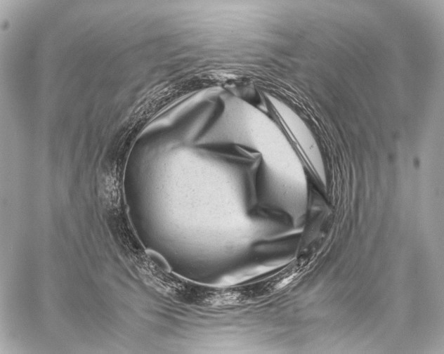 X0000059250609200511041336