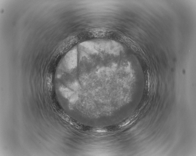 X0000059250610200511041336