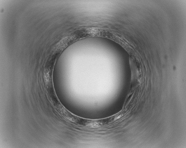 X0000059250611200511041335