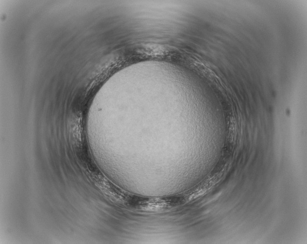 X0000059250612200511041335