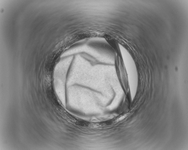 X0000059250613200511041335