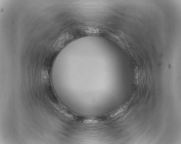 X0000059250614200511041335