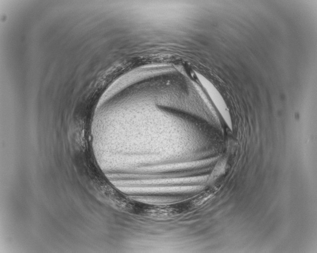 X0000059250615200511041335