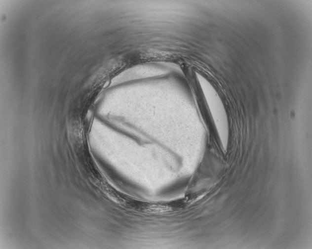 X0000059250617200511041335