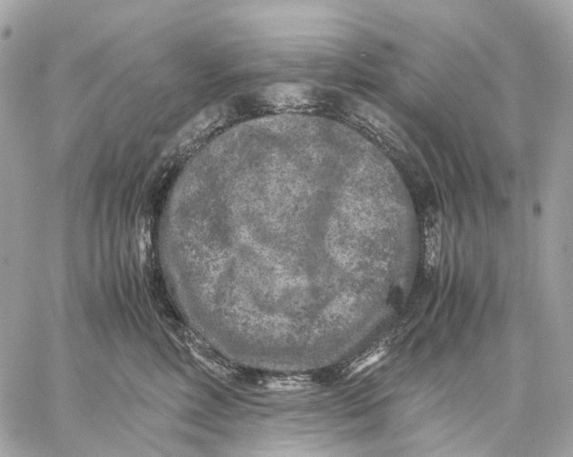 X0000059250618200511041335