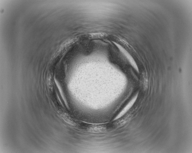 X0000059250619200511041335