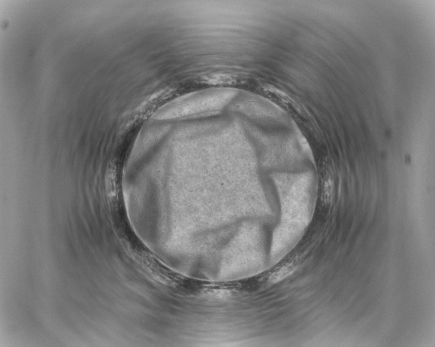 X0000059250620200511041335