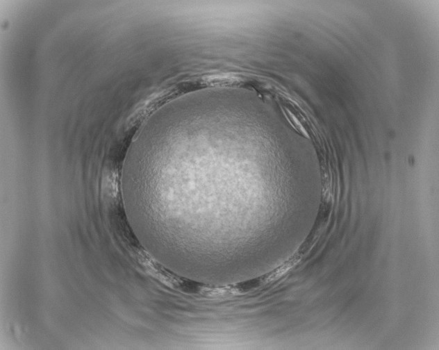 X0000059250621200511041335