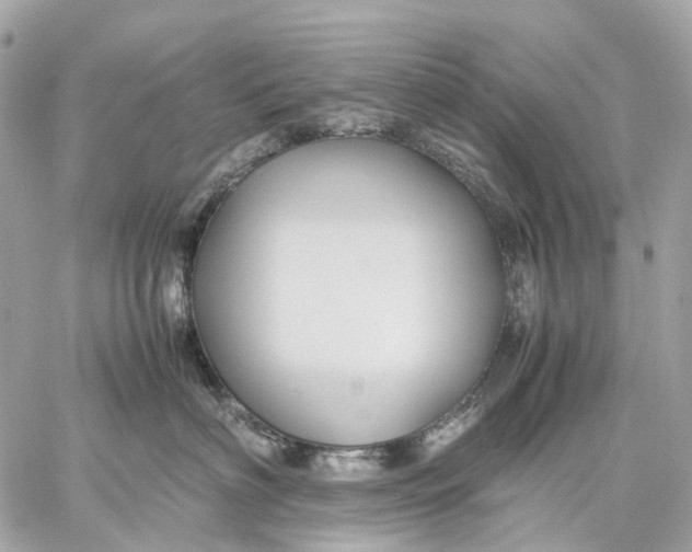 X0000059250622200511041335