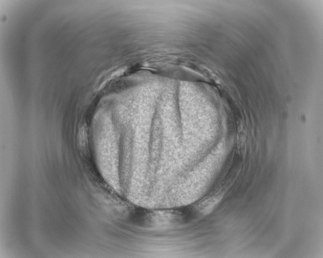 X0000059250623200511041335