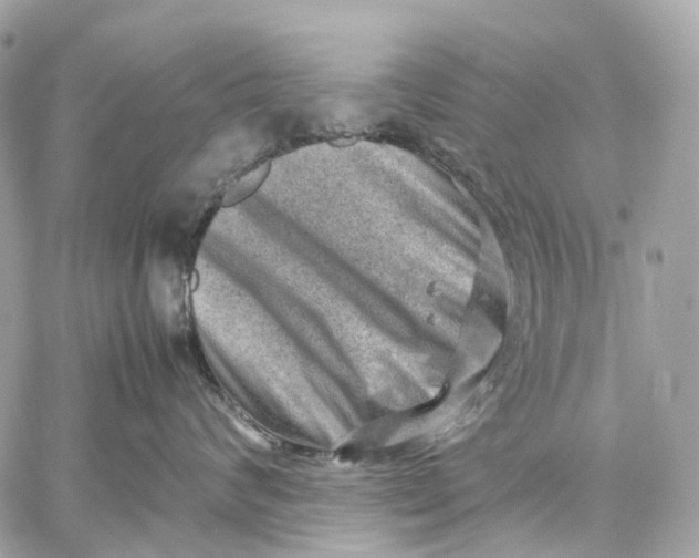 X0000059250624200511041335