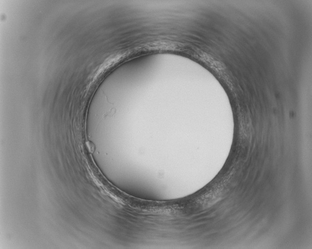 X0000059250625200511041334