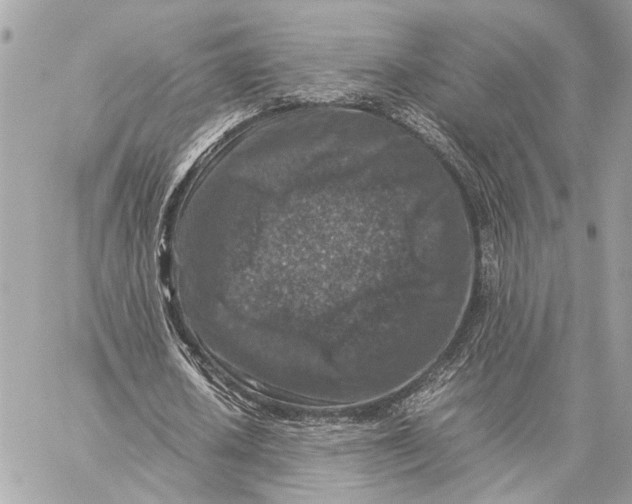 X0000059250626200511041334