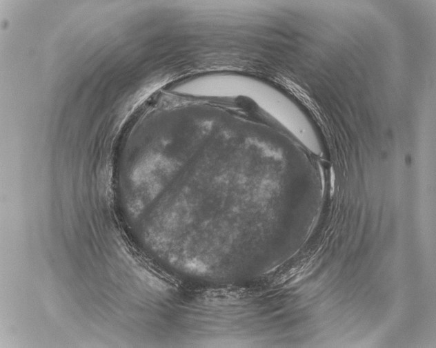 X0000059250627200511041334