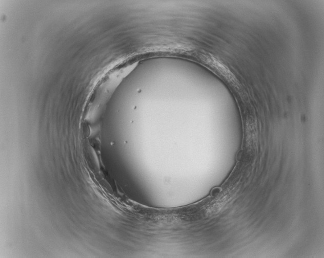 X0000059250628200511041335