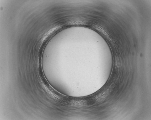 X0000059250629200511041335