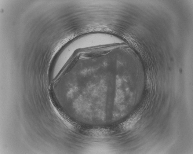 X0000059250630200511041335