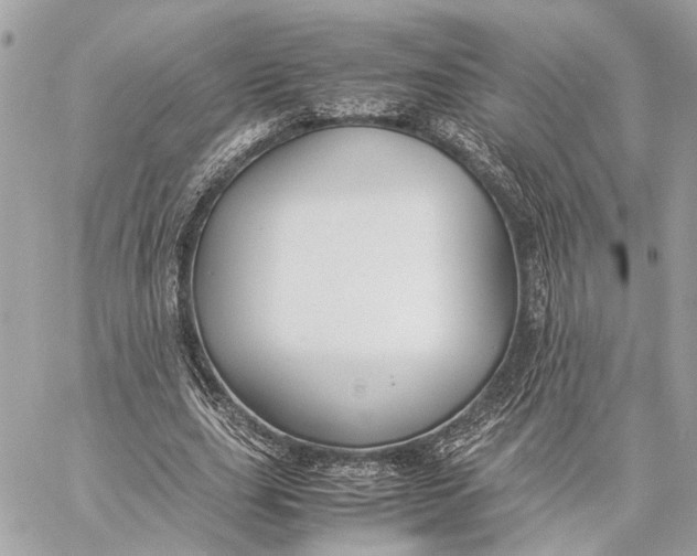 X0000059250631200511041335