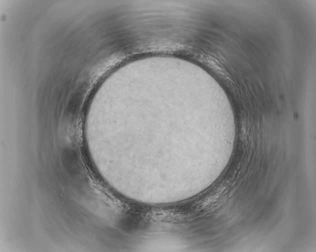 X0000059250632200511041335