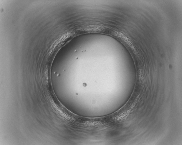 X0000059250633200511041335