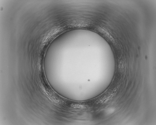 X0000059250635200511041335