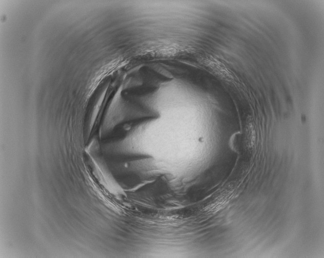 X0000059250638200511041335