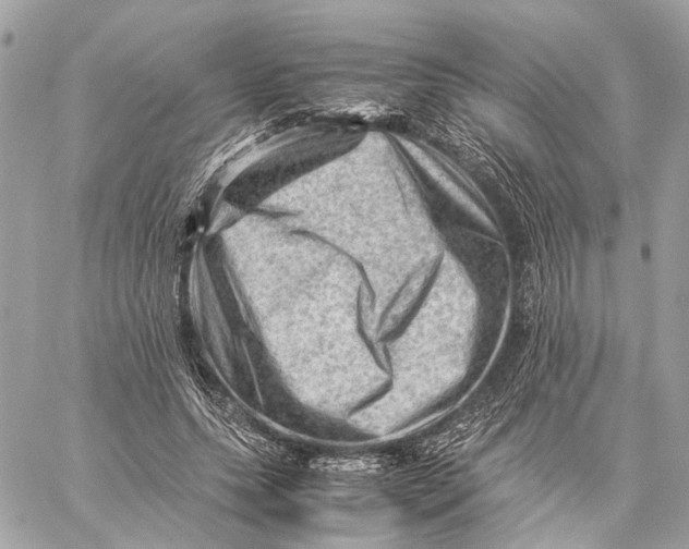 X0000059250639200511041335