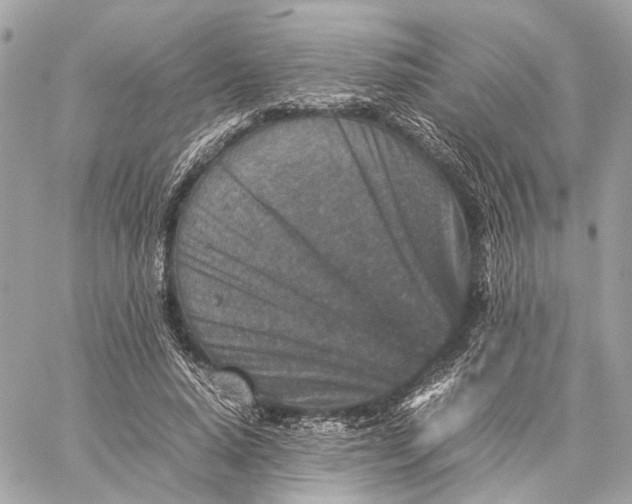 X0000059250640200511041335