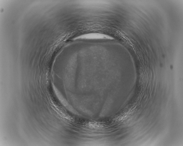 X0000059250641200511041335