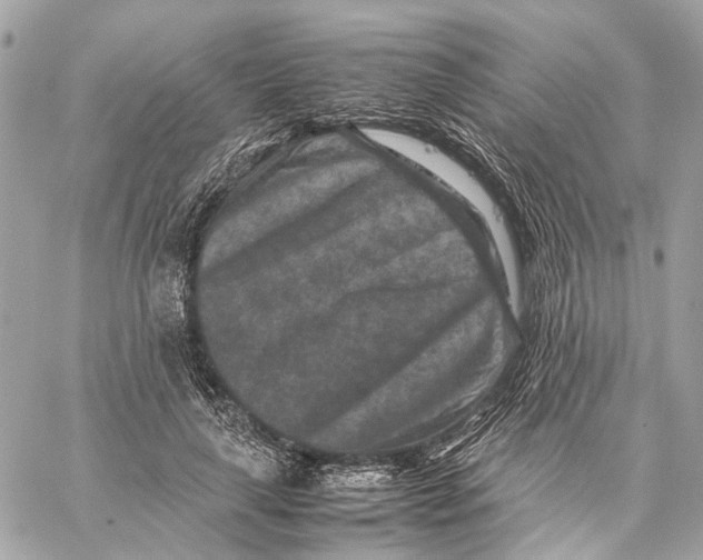 X0000059250643200511041335