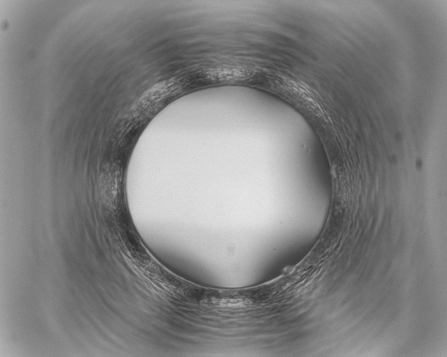 X0000059250645200511041335