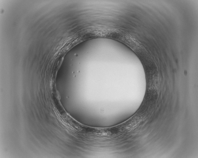 X0000059250646200511041335