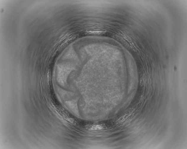 X0000059250647200511041335