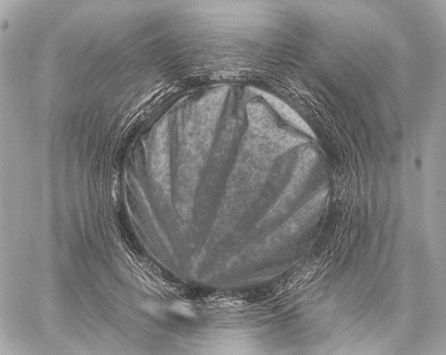 X0000059250648200511041335