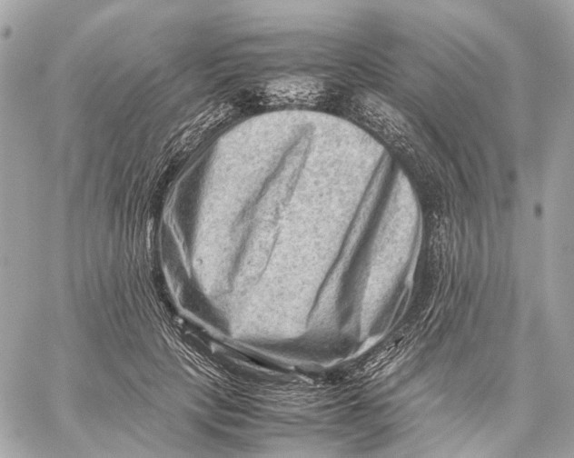 X0000059250649200511041335